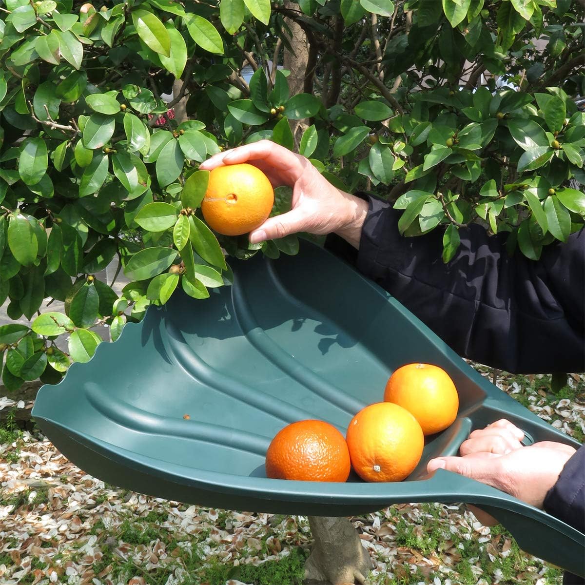 Pure Garden Leaf Scoops Hand Rakes Grabber Tool